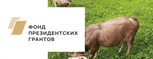 Летние приключения Ани, Ксюши и Маши КРОО Город Надежды